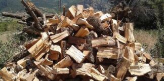 ΚΑΥΣΟΞΥΛΑ ΜΕ ΕΛΑΧΙΣΤΟ ΤΙΜΗΜΑ ΓΙΑ ΤΡΙΤΕΚΝΟΥΣ ΠΟΛΥΤΕΚΝΟΥΣ ΟΡΕΙΝΩΝ ΔΑΣΙΚΩΝ ΠΕΡΙΟΧΩΝ
